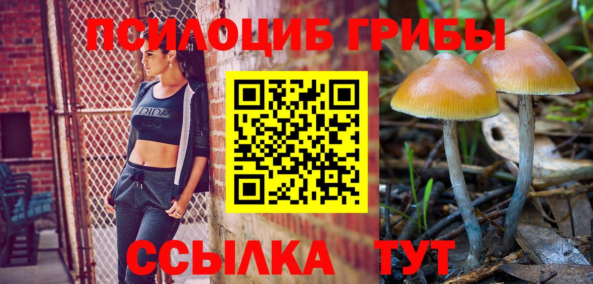 Галлюциногенные грибы прущие грибы  Псилоцибиновые грибы Psilocybine cubensis  Вход с VPN  Каменск-Уральский 