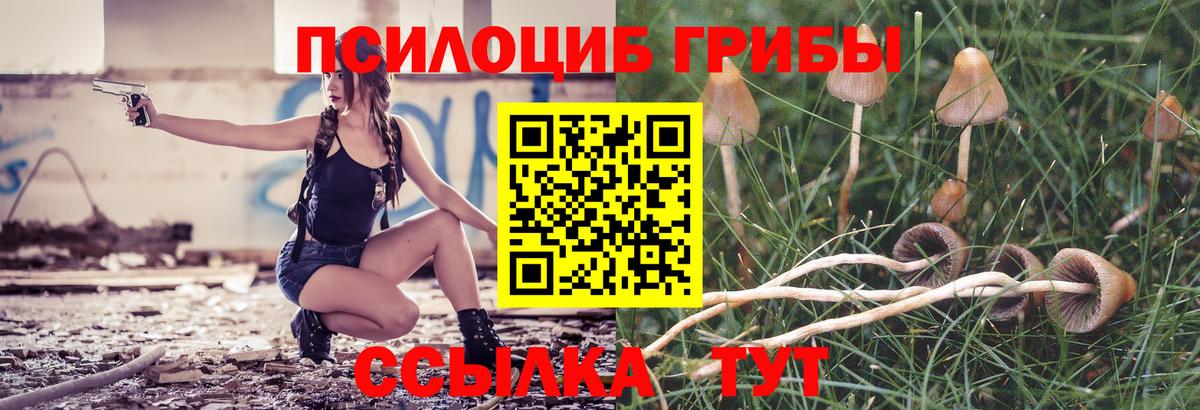 Псилоцибиновые грибы Magic Shrooms Каменск-Уральский